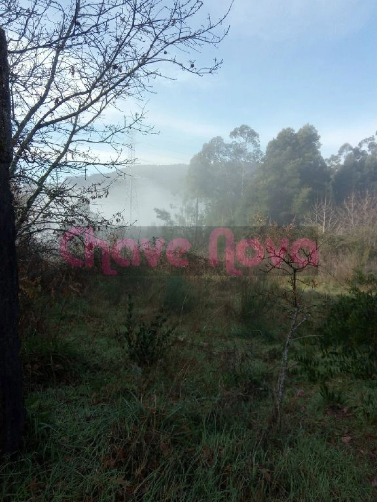 Terreno Misto para Venda em Luzim e Vila Cova Foto 1