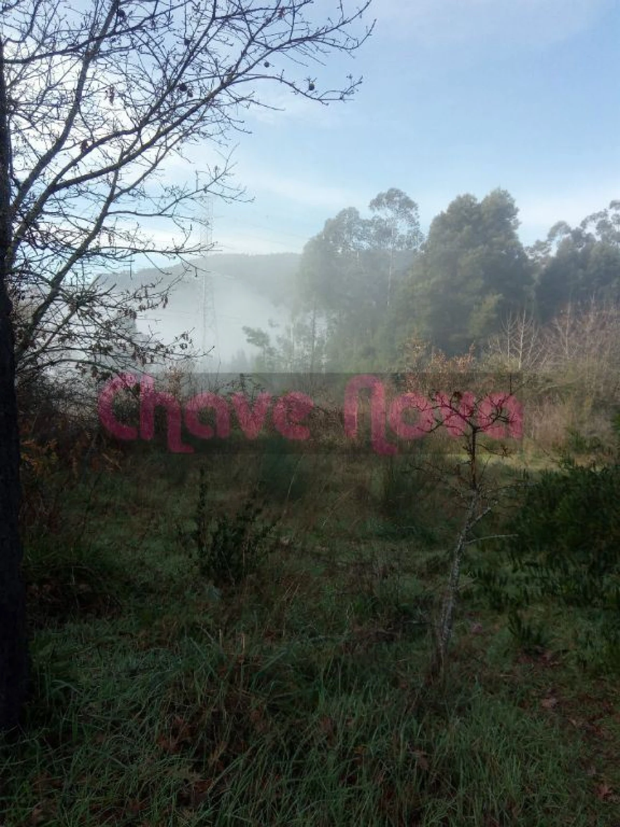 Terreno Misto para Venda em Luzim e Vila Cova Foto 2