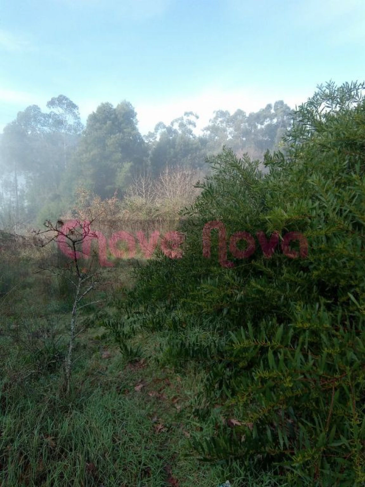 Terreno Misto para Venda em Luzim e Vila Cova Foto 3