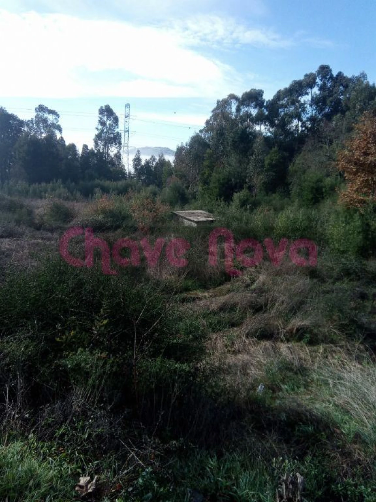 Terreno Misto para Venda em Luzim e Vila Cova Foto 6