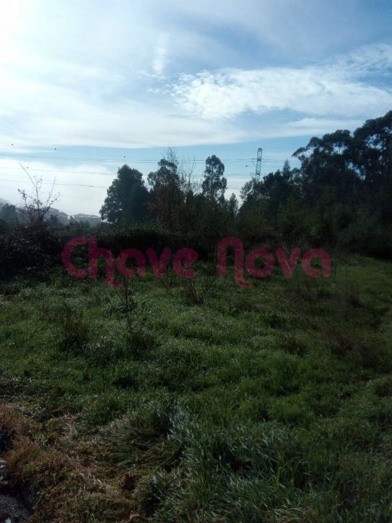 Terreno Misto para Venda em Luzim e Vila Cova Foto 8