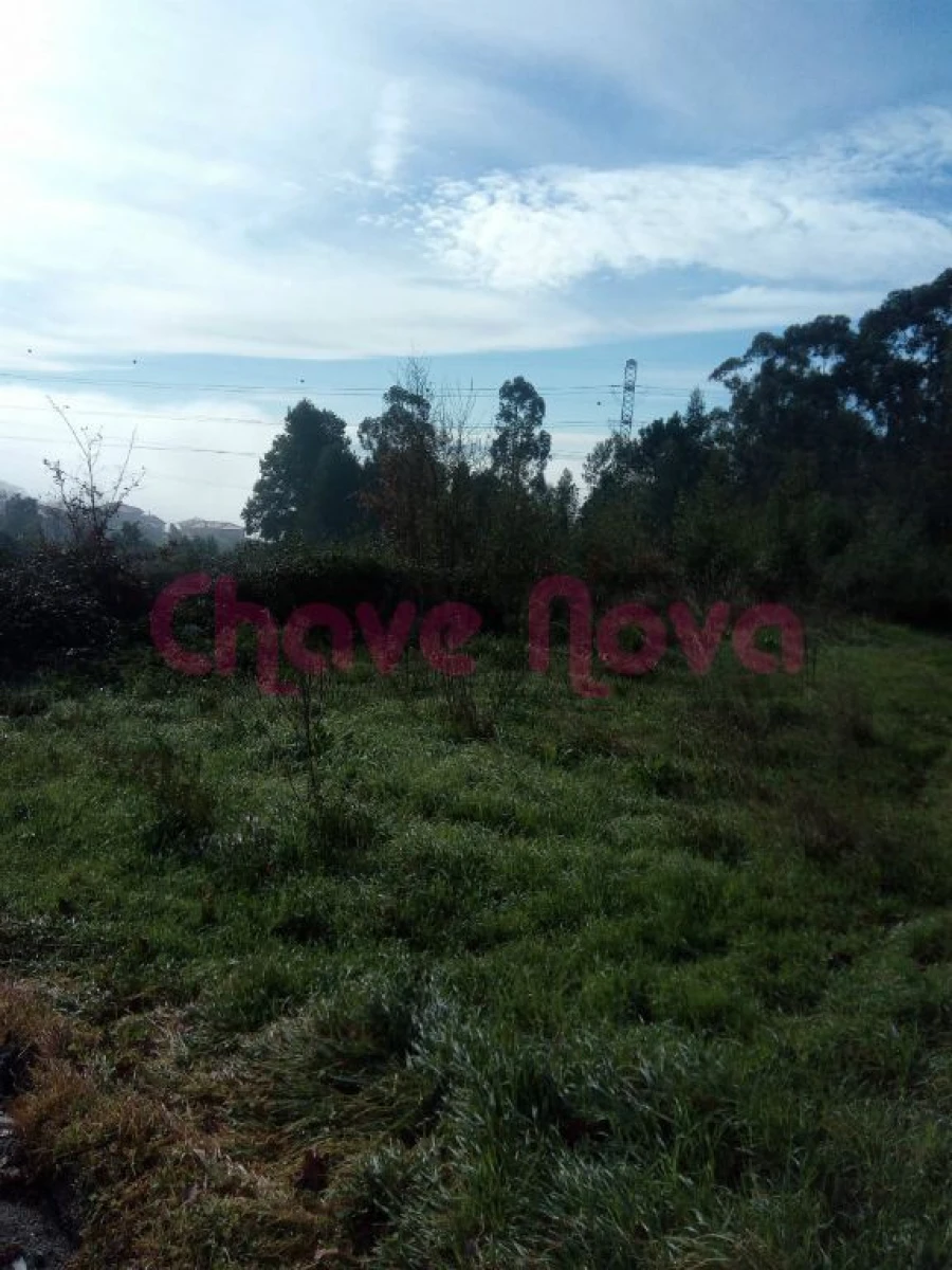 Terreno Misto para Venda em Luzim e Vila Cova Foto 8