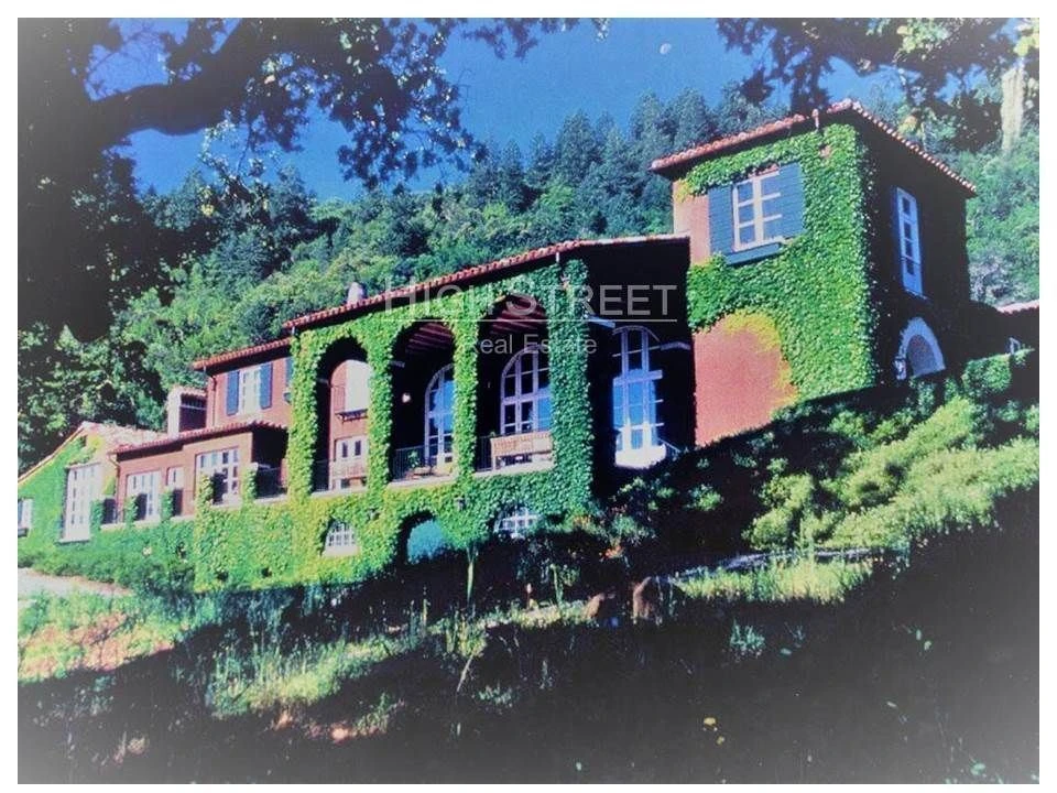 Terreno para Venda em Santa Maria e São Miguel, São Martinho, São Pedro Penaferrim Foto 4