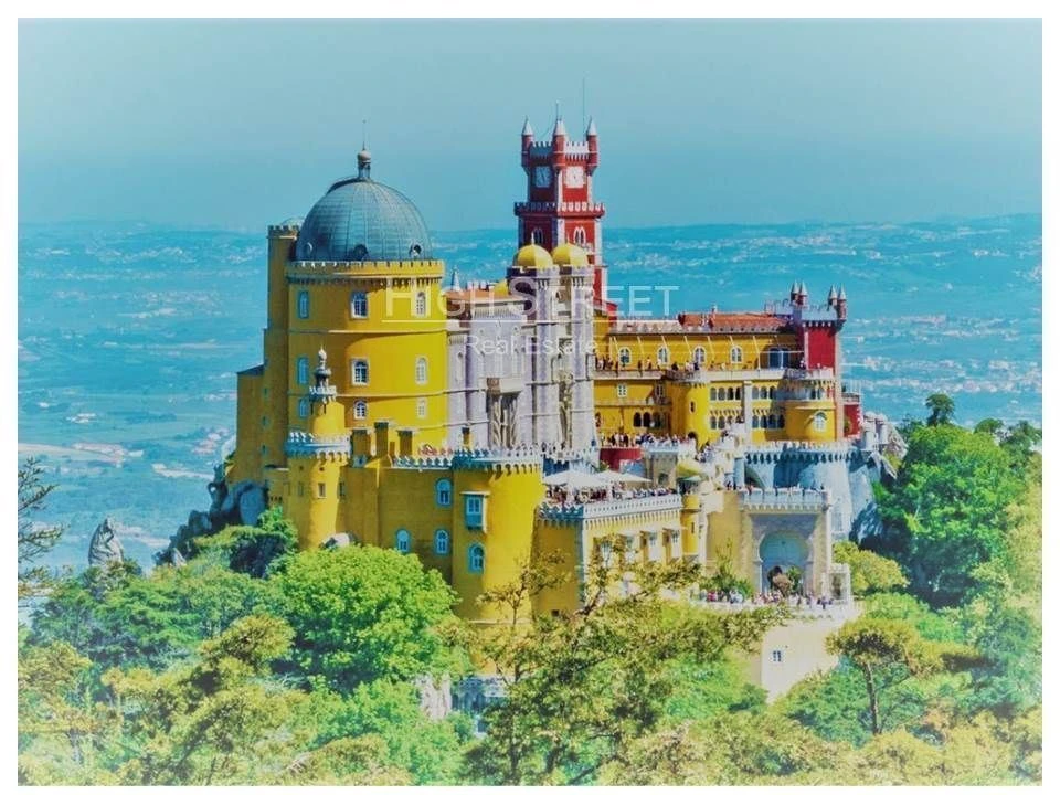 Terreno para Venda em Santa Maria e São Miguel, São Martinho, São Pedro Penaferrim Foto 23