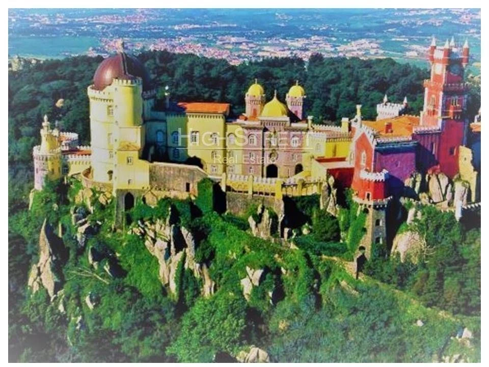 Terreno para Venda em Santa Maria e São Miguel, São Martinho, São Pedro Penaferrim Foto 29