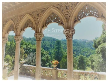 Terreno para Venda em Santa Maria e São Miguel, São Martinho, São Pedro Penaferrim