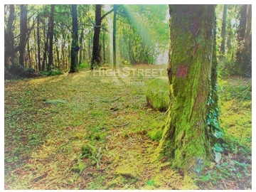 Terreno para Venda em Santa Maria e São Miguel, São Martinho, São Pedro Penaferrim