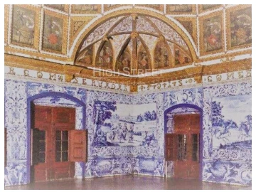 Terreno para Venda em Santa Maria e São Miguel, São Martinho, São Pedro Penaferrim