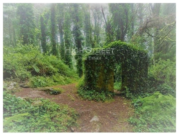 Terreno para Venda em Santa Maria e São Miguel, São Martinho, São Pedro Penaferrim