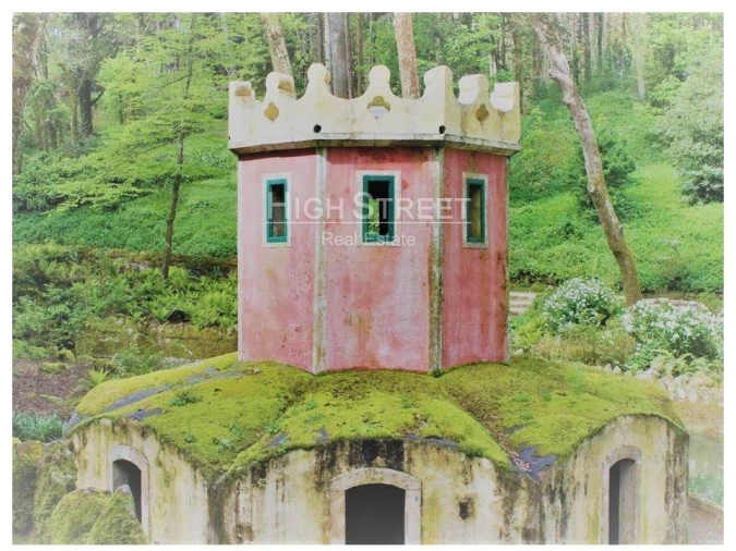 Terreno para Venda em Santa Maria e São Miguel, São Martinho, São Pedro Penaferrim Foto 19