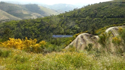Terreno Agricola ou Rústico para Venda em Provesende, Gouvães Douro, São Cristóvão Douro