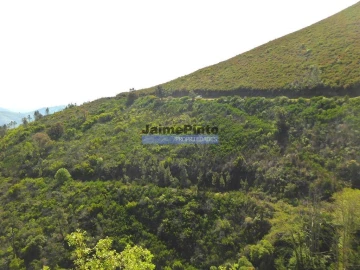 Terreno Agricola ou Rústico para Venda em Provesende, Gouvães Douro, São Cristóvão Douro