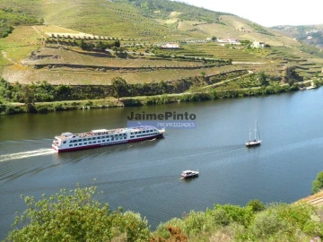 Terreno Agricola ou Rústico para Venda em Provesende, Gouvães Douro, São Cristóvão Douro