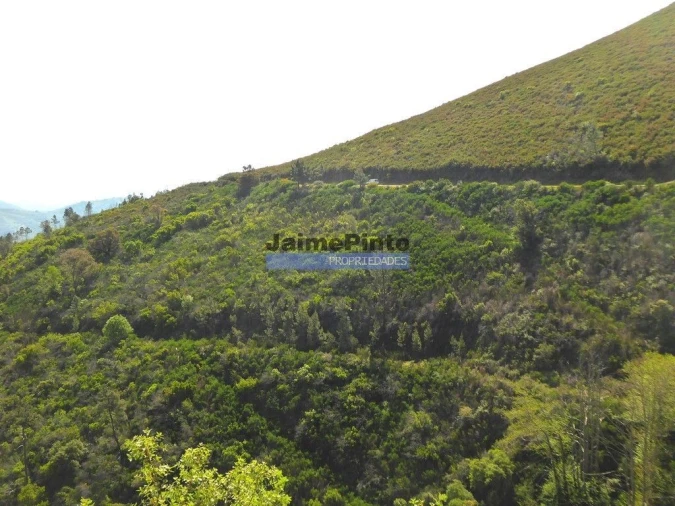 Terreno Agricola ou Rústico para Venda em Provesende, Gouvães Douro, São Cristóvão Douro Foto 4