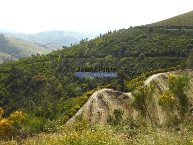Terreno Agricola ou Rústico para Venda em Provesende, Gouvães Douro, São Cristóvão Douro Foto 7