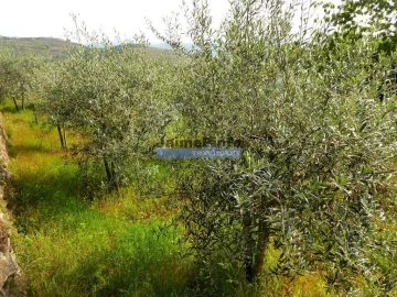 Terreno Agricola ou Rústico para Venda em Provesende, Gouvães Douro, São Cristóvão Douro