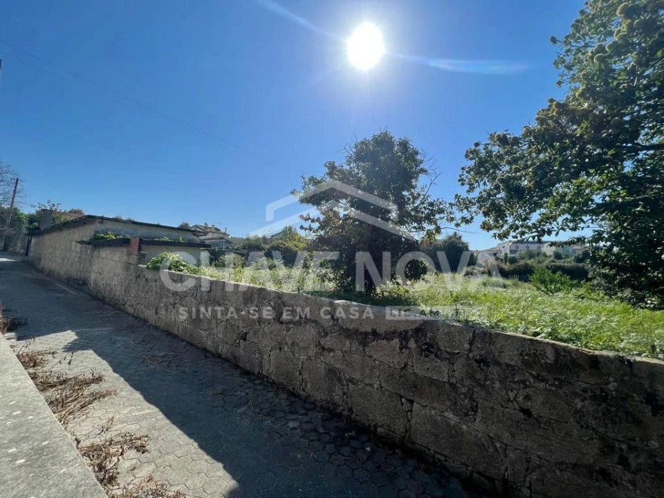 Terreno Misto para Venda em Oliveira do Douro Foto 13