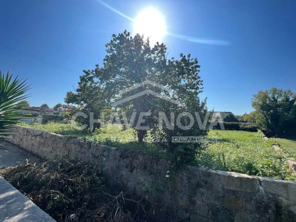 Terreno Misto para Venda em Oliveira do Douro Foto 15