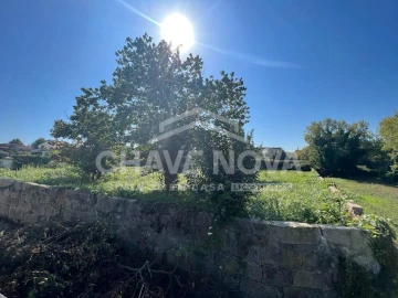 Terreno Misto para Venda em Oliveira do Douro