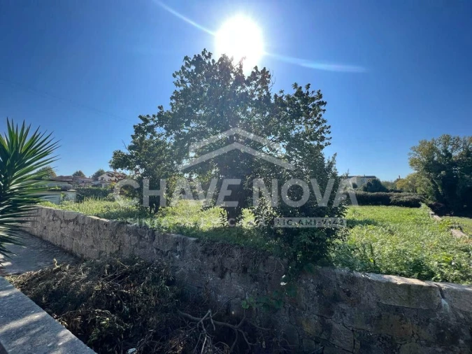 Terreno Misto para Venda em Oliveira do Douro Foto 16