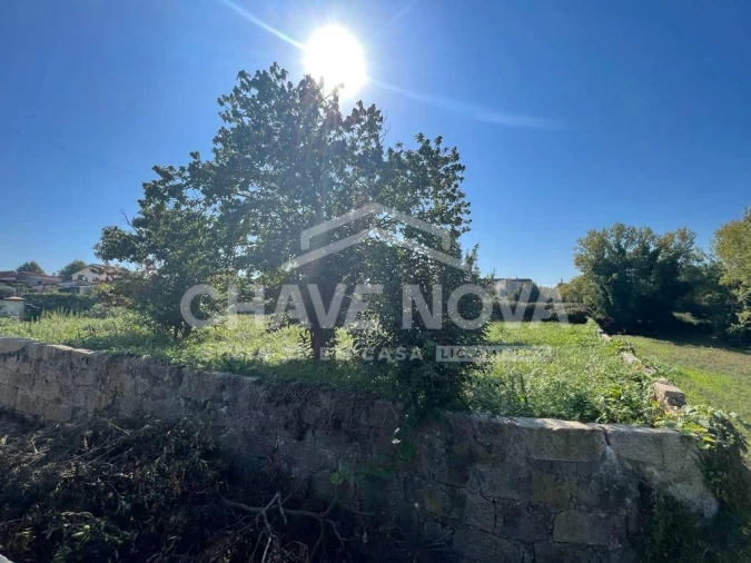 Terreno Misto para Venda em Oliveira do Douro Foto 17
