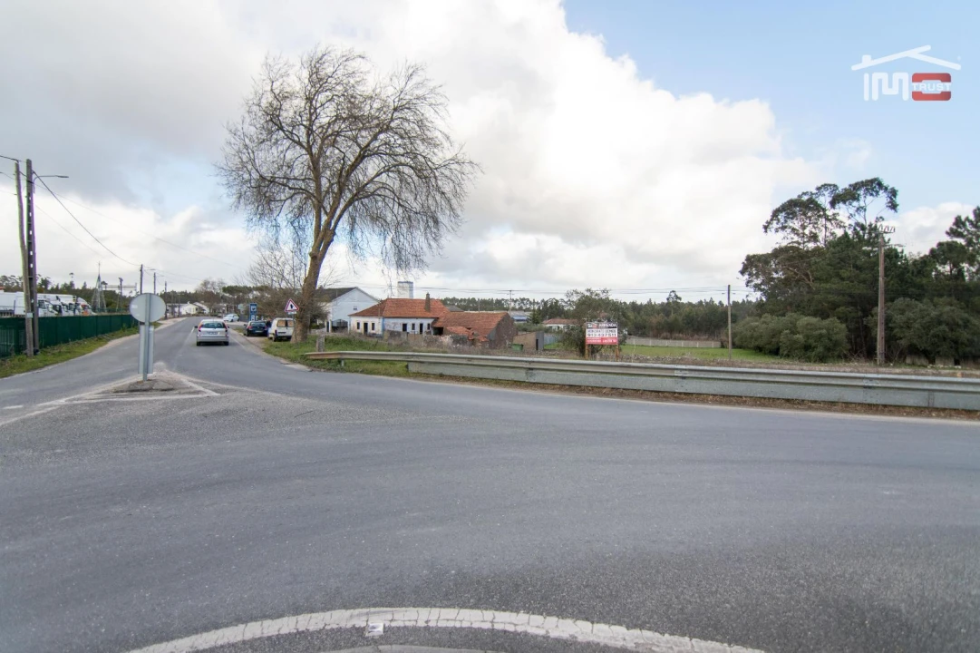 Terreno Agricola ou Rústico para Arrendamento em São Mamede Foto 3