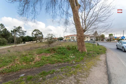 Terreno Agricola ou Rústico para Arrendamento em São Mamede