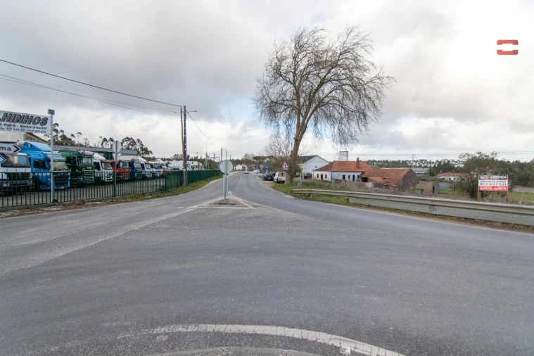 Terreno Agricola ou Rústico para Arrendamento em São Mamede Foto 5