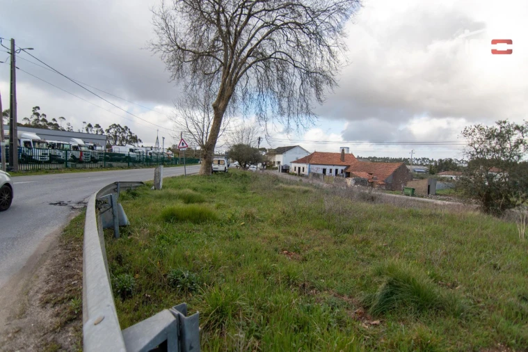 Terreno Agricola ou Rústico para Arrendamento em São Mamede Foto 7