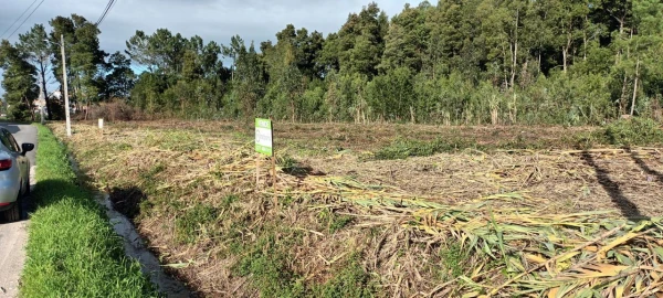 Terreno P/ Prédio para Venda em Mira