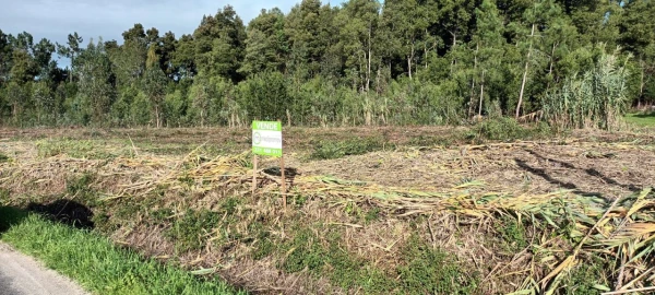 Terreno P/ Prédio para Venda em Mira