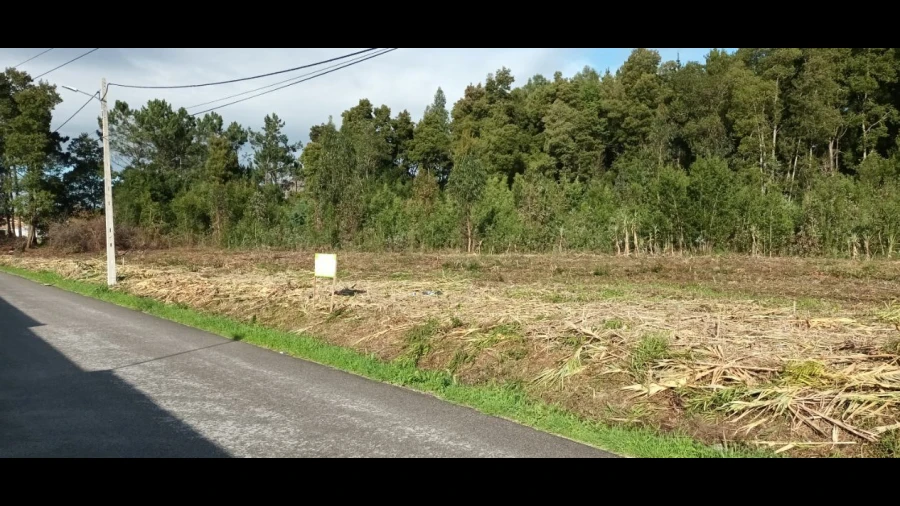 Terreno P/ Prédio para Venda em Mira
