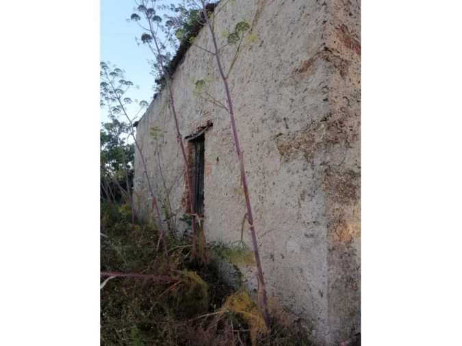 Quinta T0 para Venda em Espírito Santo, Nossa Senhora da Graça e São Simão Foto 3