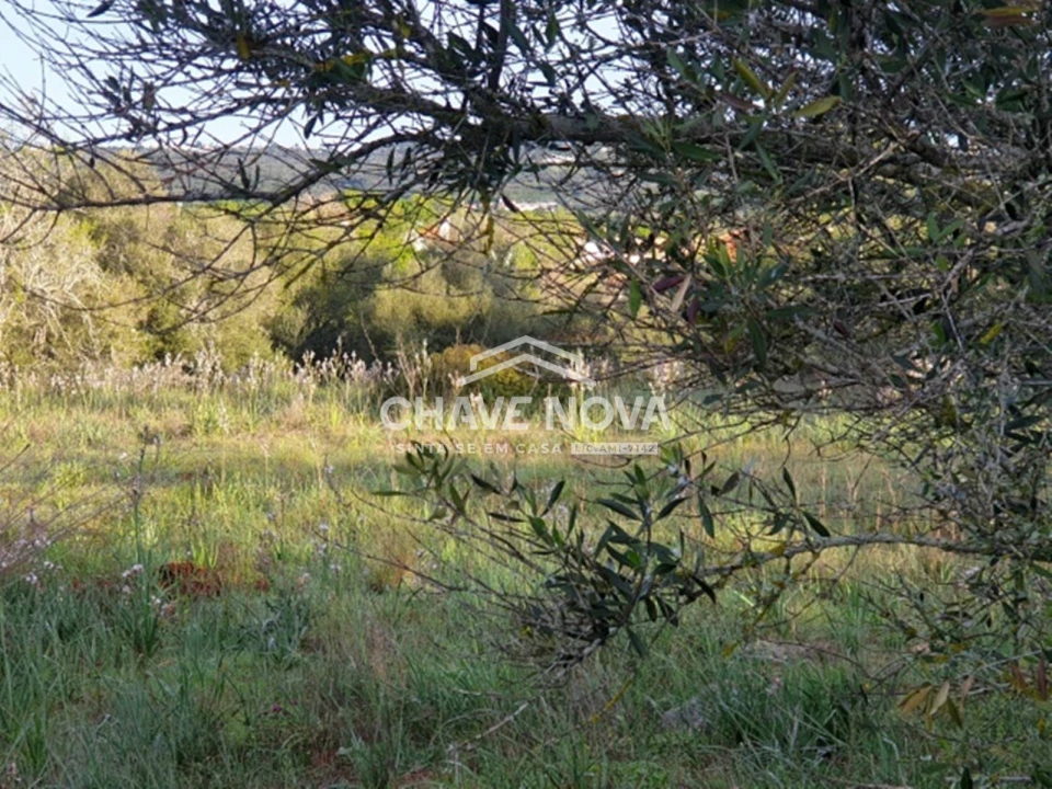 Terreno para Venda em São Bartolomeu de Messines Foto 5
