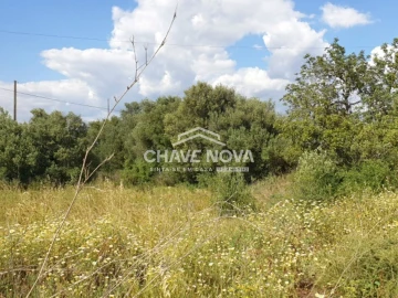 Terreno para Venda em São Bartolomeu de Messines