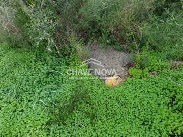 Terreno para Venda em São Bartolomeu de Messines