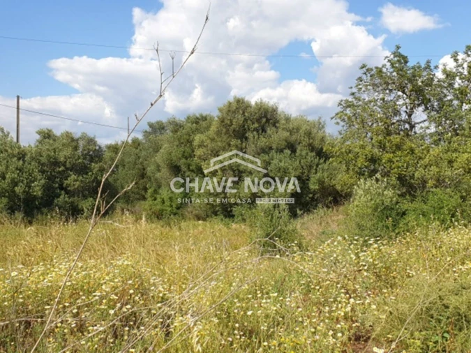 Terreno para Venda em São Bartolomeu de Messines Foto 4