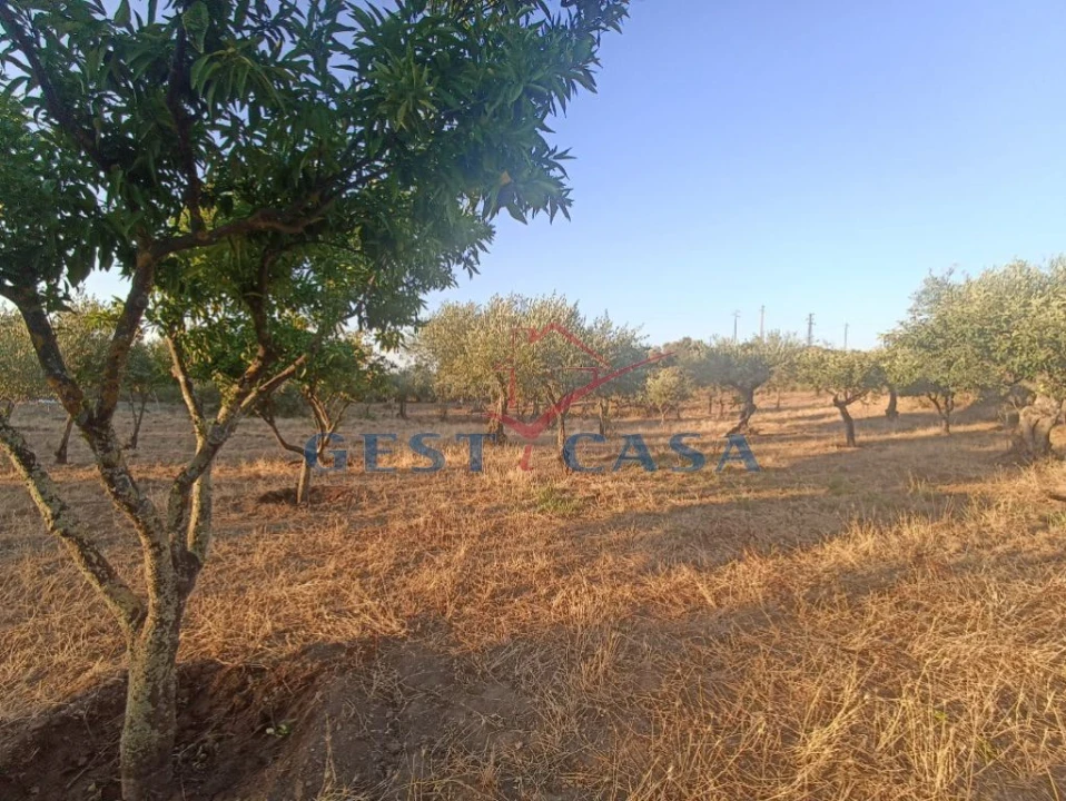 Terreno para Venda em Cebolais de Cima e Retaxo Foto 2