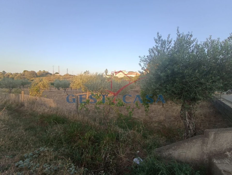 Terreno para Venda em Cebolais de Cima e Retaxo Foto 5