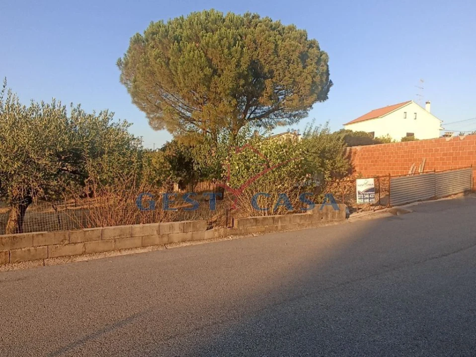 Terreno para Venda em Cebolais de Cima e Retaxo Foto 8