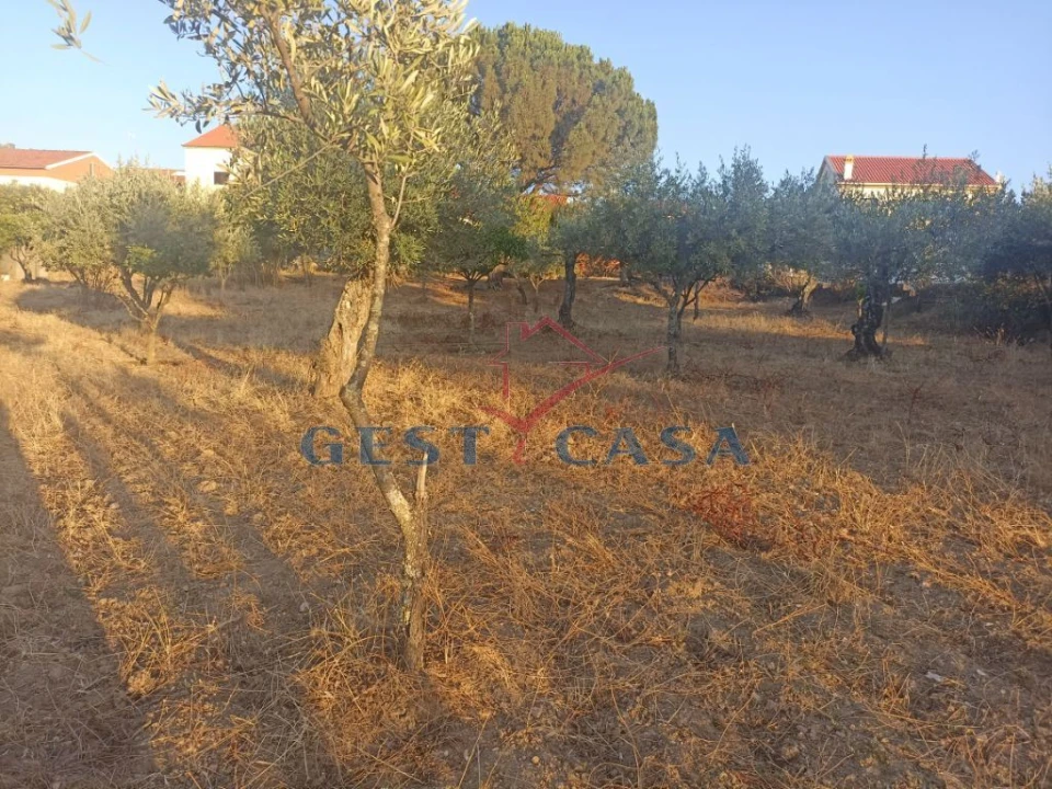 Terreno para Venda em Cebolais de Cima e Retaxo Foto 10