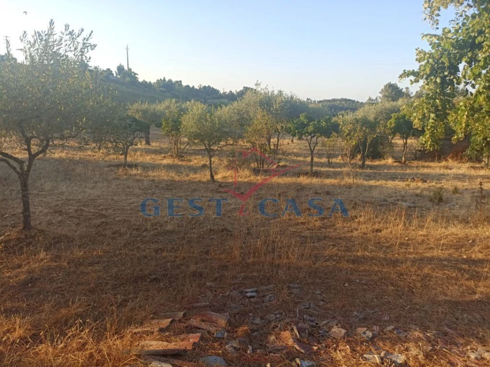 Terreno para Venda em Cebolais de Cima e Retaxo Foto 9