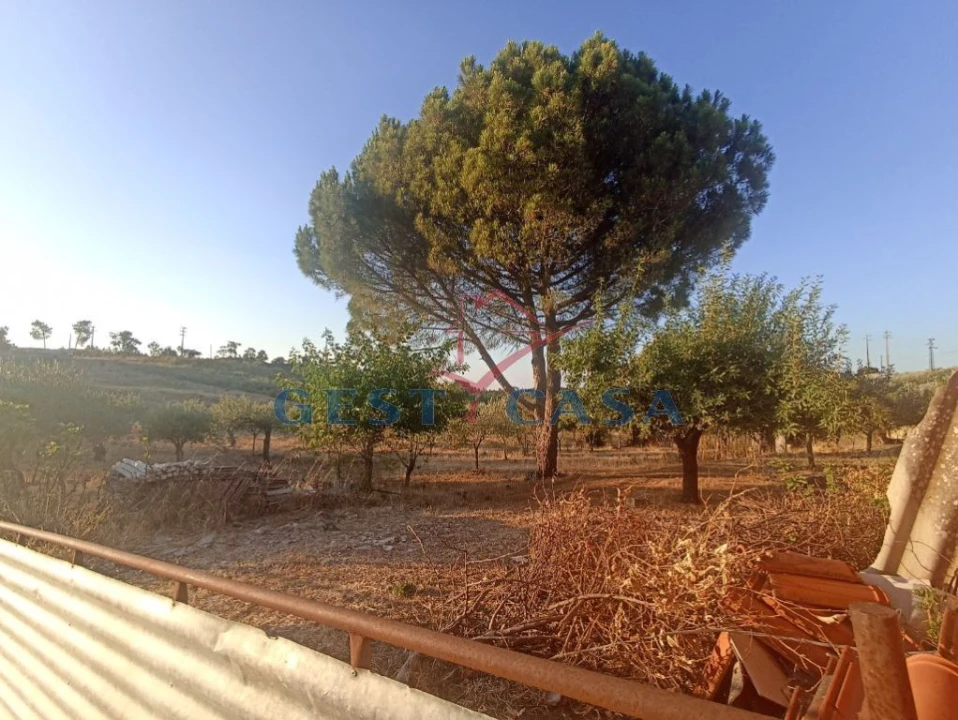 Terreno para Venda em Cebolais de Cima e Retaxo Foto 11