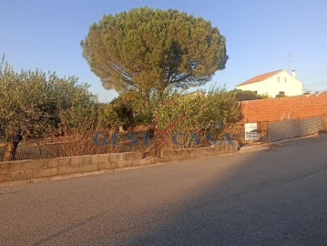 Terreno para Venda em Cebolais de Cima e Retaxo