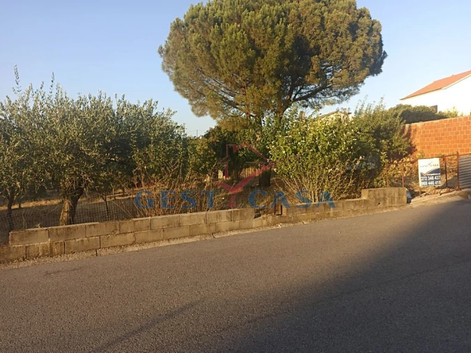 Terreno para Venda em Cebolais de Cima e Retaxo Foto 3