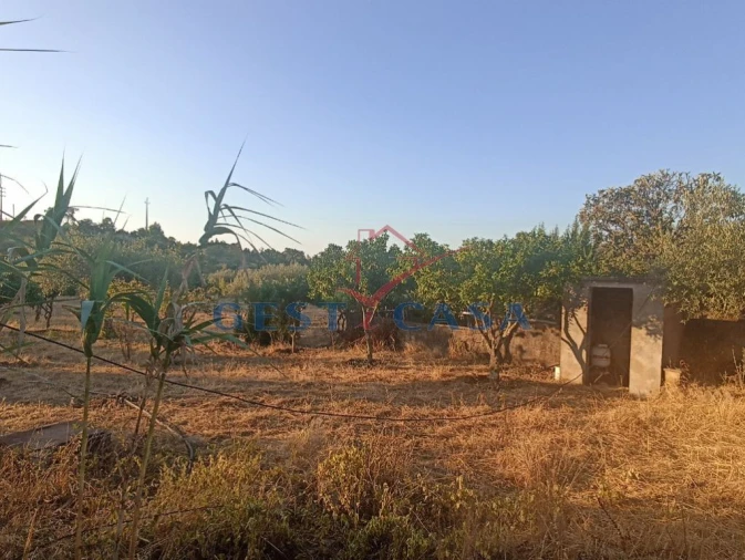 Terreno para Venda em Cebolais de Cima e Retaxo Foto 4