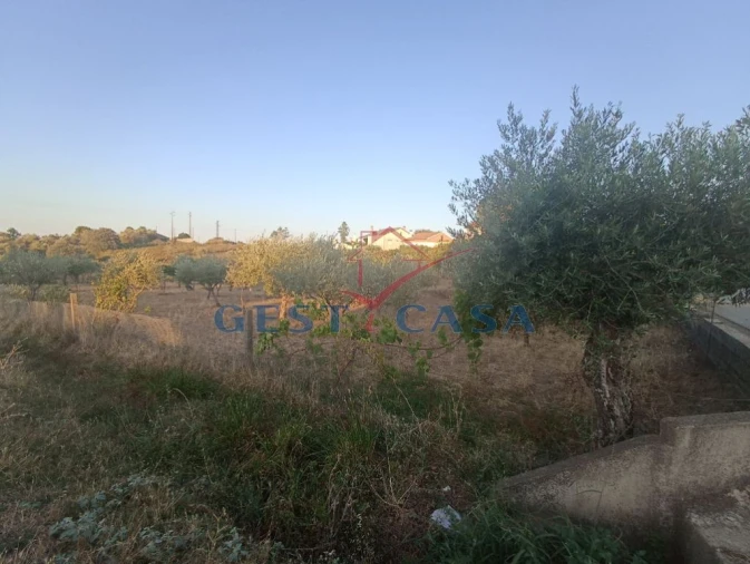 Terreno para Venda em Cebolais de Cima e Retaxo Foto 5