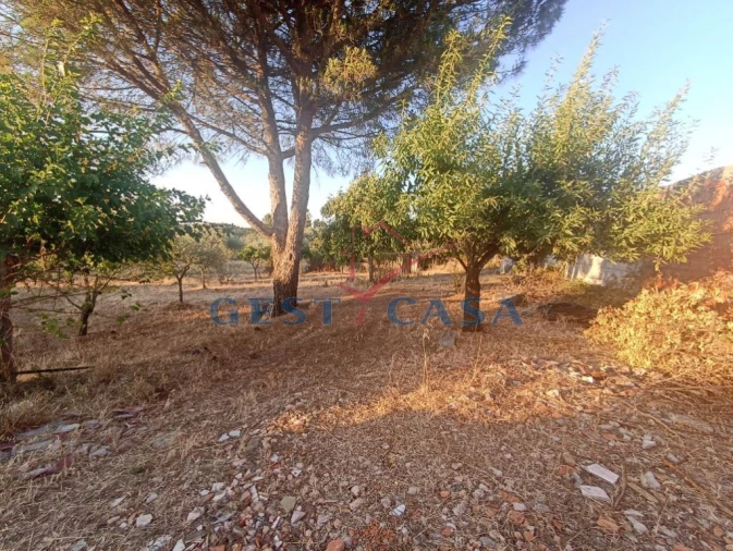 Terreno para Venda em Cebolais de Cima e Retaxo Foto 6