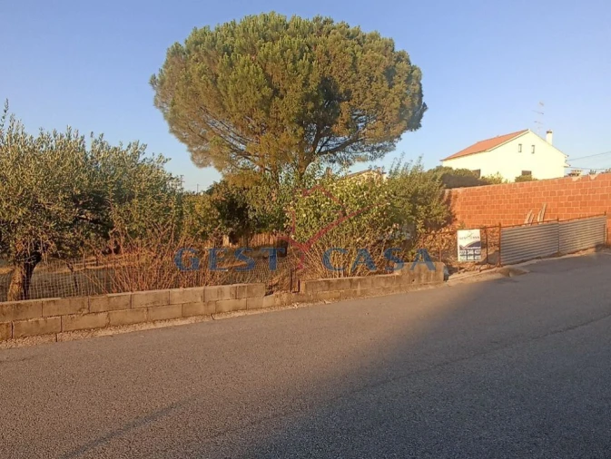 Terreno para Venda em Cebolais de Cima e Retaxo Foto 8