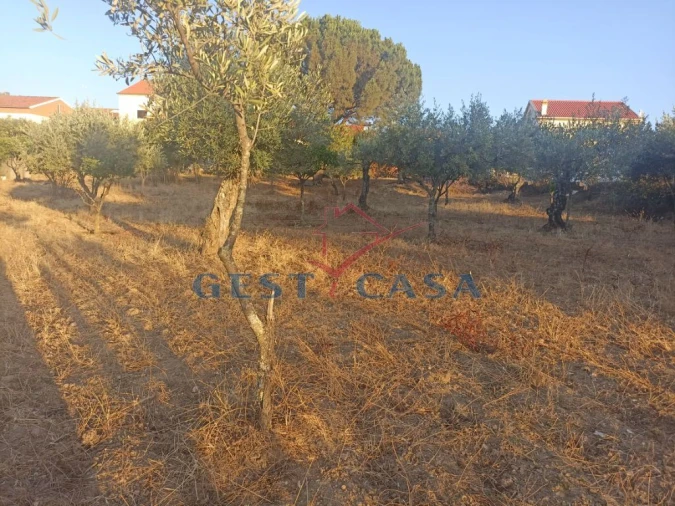 Terreno para Venda em Cebolais de Cima e Retaxo Foto 10